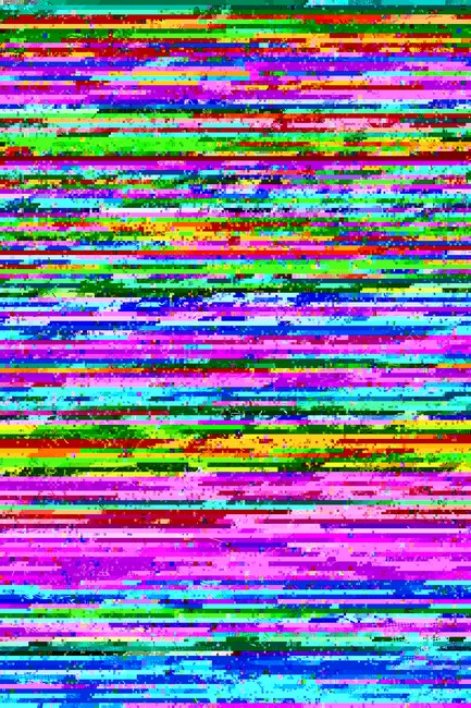 9781479855308